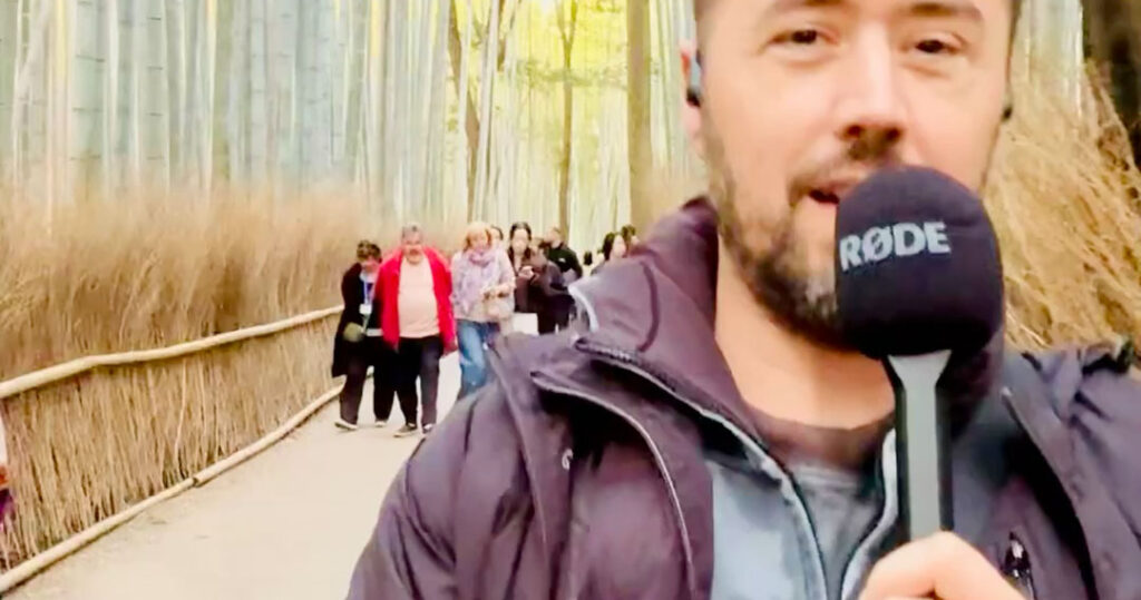 Бамбуковий ліс Арашіяма в Кіото, Японія